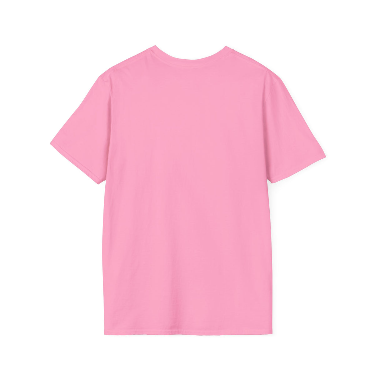 99 Stayed Folly Strayed But Saved by Grace Christian T-Shirt