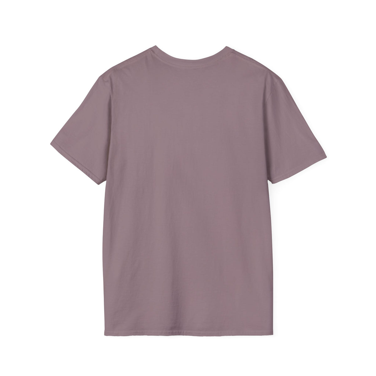 99 Stayed Folly Strayed But Saved by Grace Christian T-Shirt