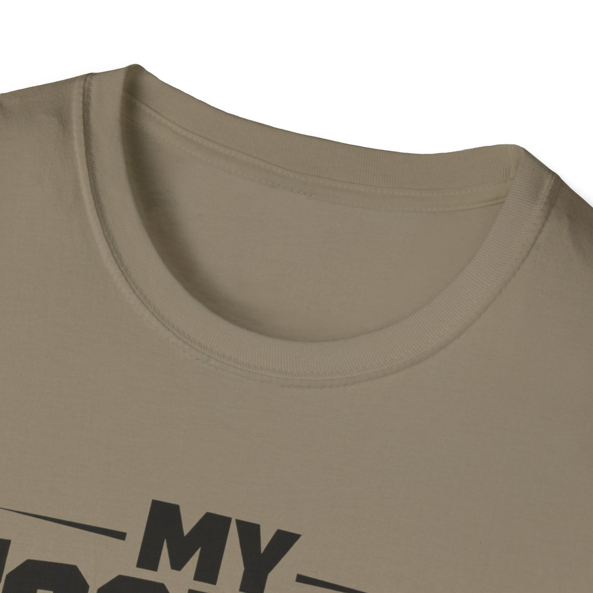 My Foolish Era Has Expired T-Shirt